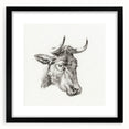 Romanticism Art Print: Head of a Cow - Timeless Sketch by Jean Bernard