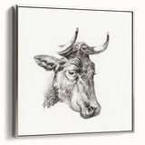 Romanticism Art Print: Head of a Cow - Timeless Sketch by Jean Bernard