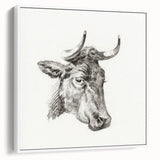 Romanticism Art Print: Head of a Cow - Timeless Sketch by Jean Bernard