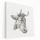 Romanticism Art Print: Head of a Cow - Timeless Sketch by Jean Bernard