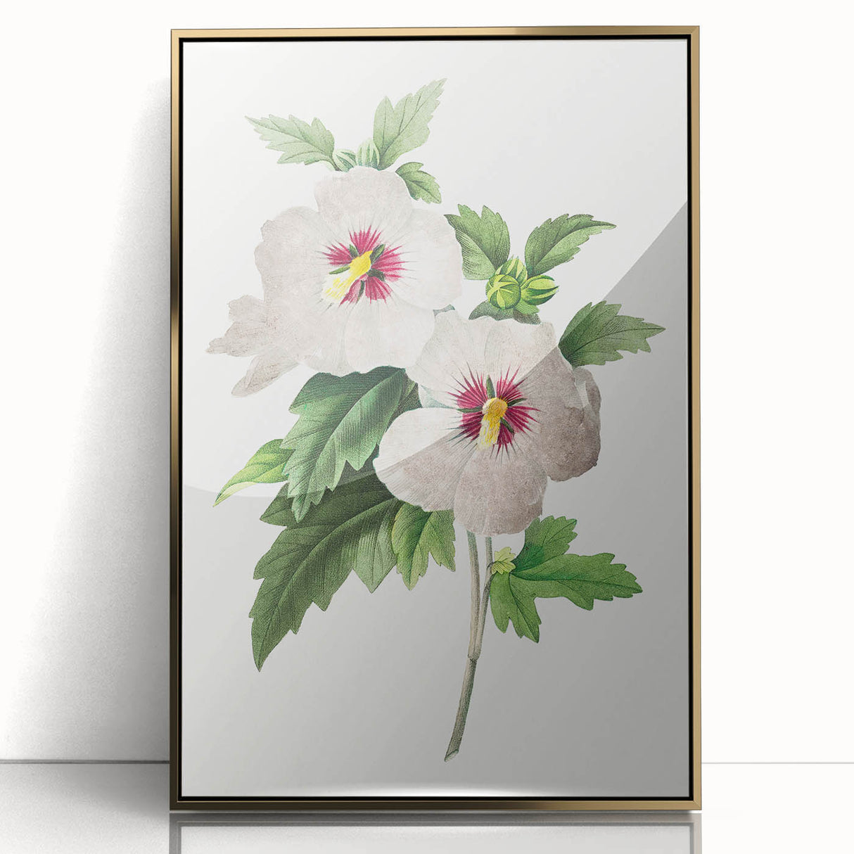 Neoclassical Art Prints: Hibiscus Elegance - Pierre Redouté Classic