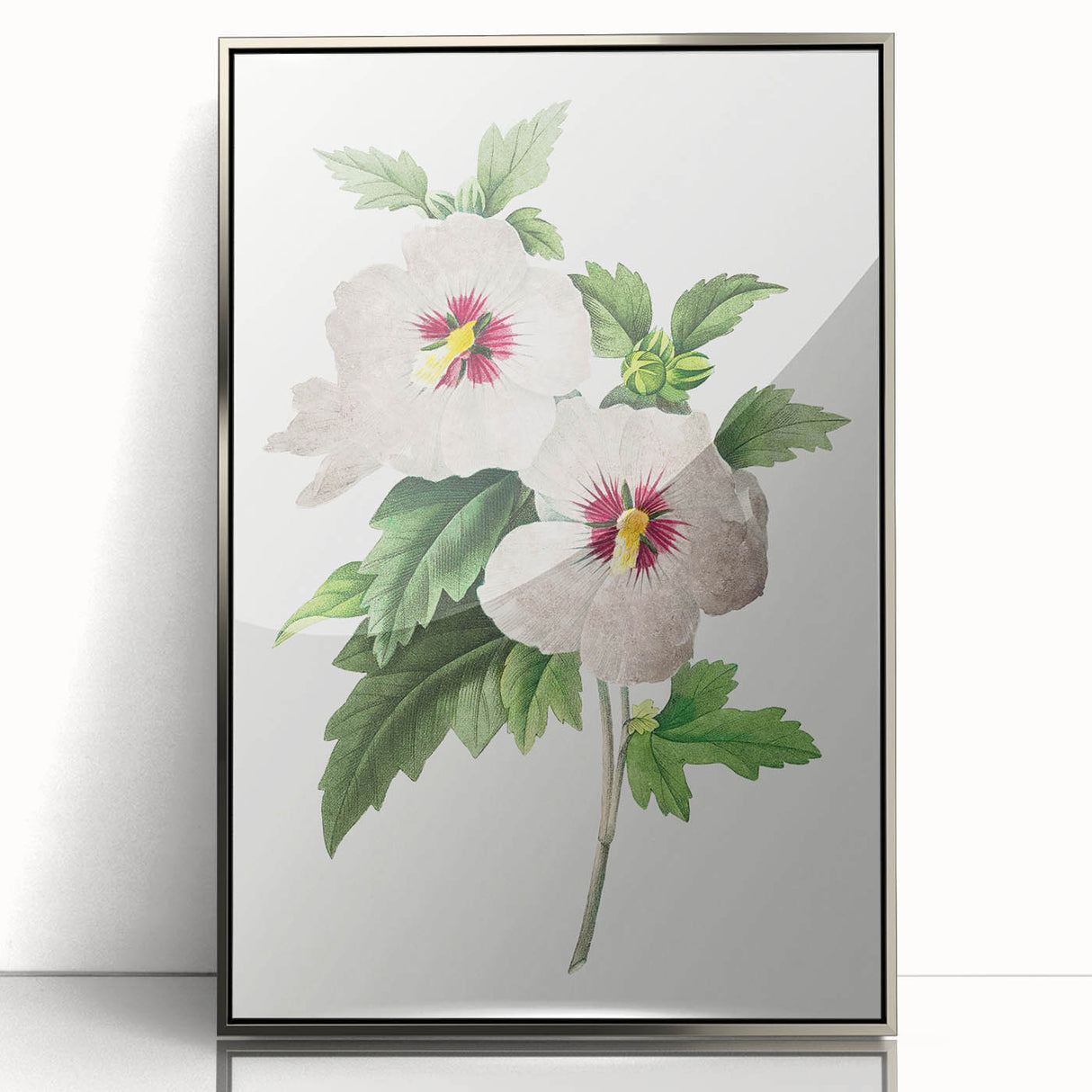 Neoclassical Art Prints: Hibiscus Elegance - Pierre Redouté Classic