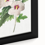 Neoclassical Art Prints: Hibiscus Elegance - Pierre Redouté Classic