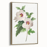 Neoclassical Art Prints: Hibiscus Elegance - Pierre Redouté Classic