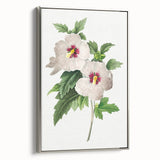 Neoclassical Art Prints: Hibiscus Elegance - Pierre Redouté Classic