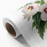 Neoclassical Art Prints: Hibiscus Elegance - Pierre Redouté Classic