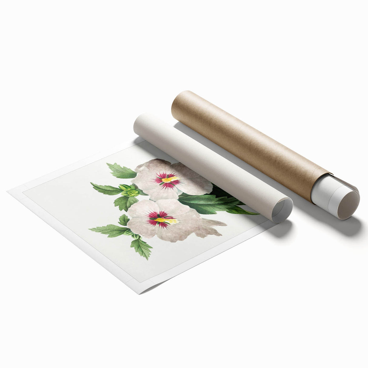 Neoclassical Art Prints: Hibiscus Elegance - Pierre Redouté Classic