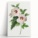 Neoclassical Art Prints: Hibiscus Elegance - Pierre Redouté Classic