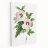 Neoclassical Art Prints: Hibiscus Elegance - Pierre Redouté Classic
