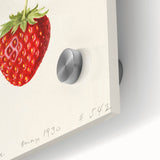 Close-up of large abstract fruit art in vibrant colors on acrylic glass, ideal for dining room art.