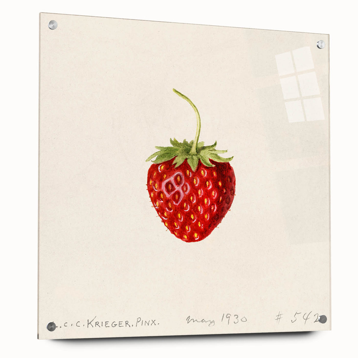 Large abstract wall art featuring various fruits in vibrant colors on acrylic glass, suitable for dining room decor.