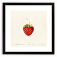 Extra large abstract art print featuring vibrant, colorful fruits on textured canvas, framed in black.