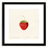 Extra large abstract art print featuring vibrant, colorful fruits on textured canvas, framed in black.