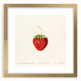 Extra large abstract art print featuring textured fruits in vibrant colors on a gold-framed canvas.