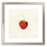 Textured art print featuring abstract fruit designs in vibrant colors, framed in silver, ideal for bedroom wall decor.