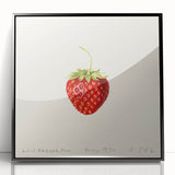 Large abstract wall art featuring assorted fruits in bold colors on a black acrylic framed print.