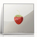 Acrylic print of colorful fruits in art deco style, framed in white, suitable for modern kitchen decor.