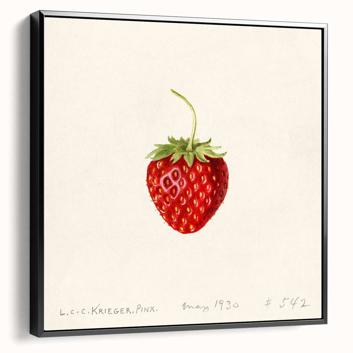 Black and white vintage poster art of various fruits on a framed canvas, ideal for bedroom wall decor.