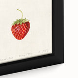 Extra large framed canvas featuring a close-up of colorful fruits on a black background.