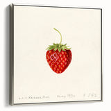 Landscape art painting featuring colorful fruits on a black background, framed in silver, ideal for kitchen wall decor.