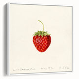 Vintage poster art of colorful fruits on a white framed canvas, ideal for living room decor.