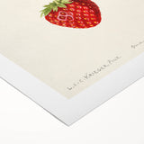 Art deco poster featuring an array of colorful fruits on rolled canvas, suitable for dining room decor.