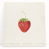 Large black and white stretched canvas of assorted fruits, ideal for kitchen wall art.