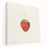 Large canvas print featuring an assortment of colorful fruits, ideal for kitchen wall art.