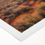 Vibrant rolled canvas showcasing a stunning desert dune landscape at sunset, featuring warm hues of orange and gold, perfect for enhancing home decor aesthetics.