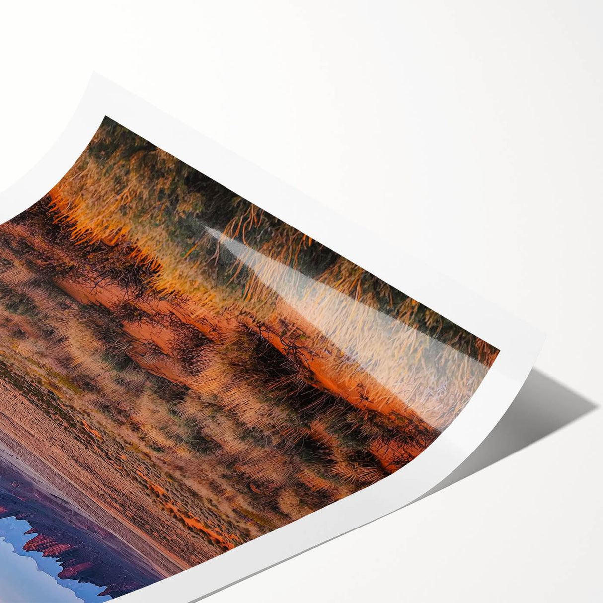 Desert landscape art print showcasing golden sand dunes under a vibrant sunset, rolled and ready for display, perfect for home decor enthusiasts.