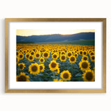 Elegant gold-framed landscape artwork featuring vibrant green fields under a clear blue sky, complemented by a white mat, perfect for home decor.