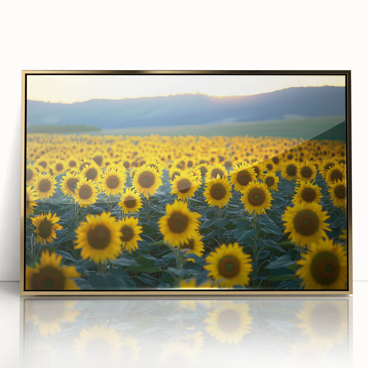 Framed acrylic artwork showcasing a vibrant landscape of golden fields under a clear blue sky, perfect for enhancing home decor with a touch of nature-inspired elegance.