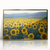 Framed acrylic artwork showcasing a vibrant landscape of golden fields under a clear blue sky, perfect for enhancing home decor with a touch of nature-inspired elegance.