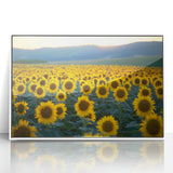 Framed acrylic artwork showcasing a vibrant landscape of rolling fields, highlighted with a white frame, perfect for home décor and nature enthusiasts. The piece emphasizes lush green hues and serene blue skies, enhancing any interior space with its tranquil beauty.