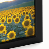 Vibrant close-up of a framed landscape canvas print showcasing rolling green fields under a bright blue sky, ideal for home decor and nature enthusiasts.