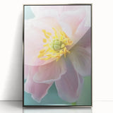Mid-century modernist art featuring close-up floral designs in a silver framed acrylic print.