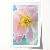 Extra large rolled canvas print featuring close-up floral imagery in soft pastel colors.