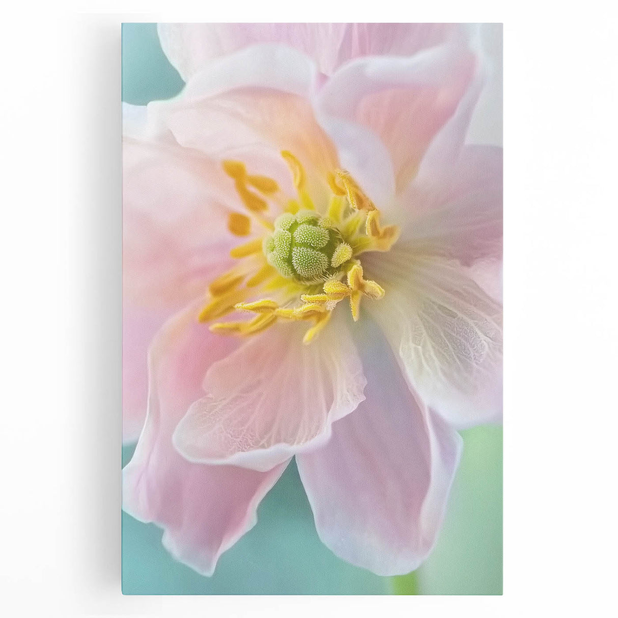 Black and white close-up floral photography on stretched canvas, suitable for kitchen art.