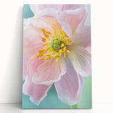 Black and white close-up floral photo on a stretched canvas, ideal for kitchen wall art or bedroom ambiance.