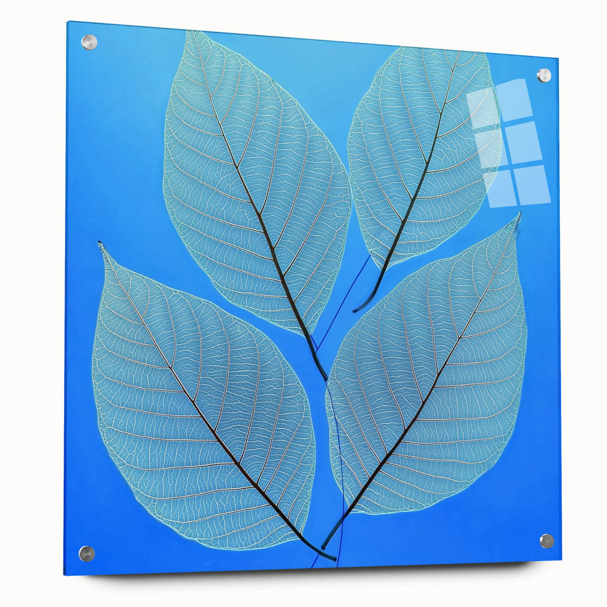 Close-up of green leaves on acrylic glass, ideal for bedroom or dining room decor.