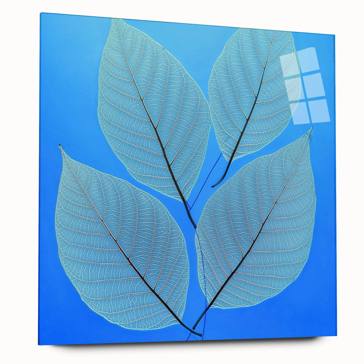 Large abstract wall art of close-up leaves in green and yellow tones, printed on acrylic glass.