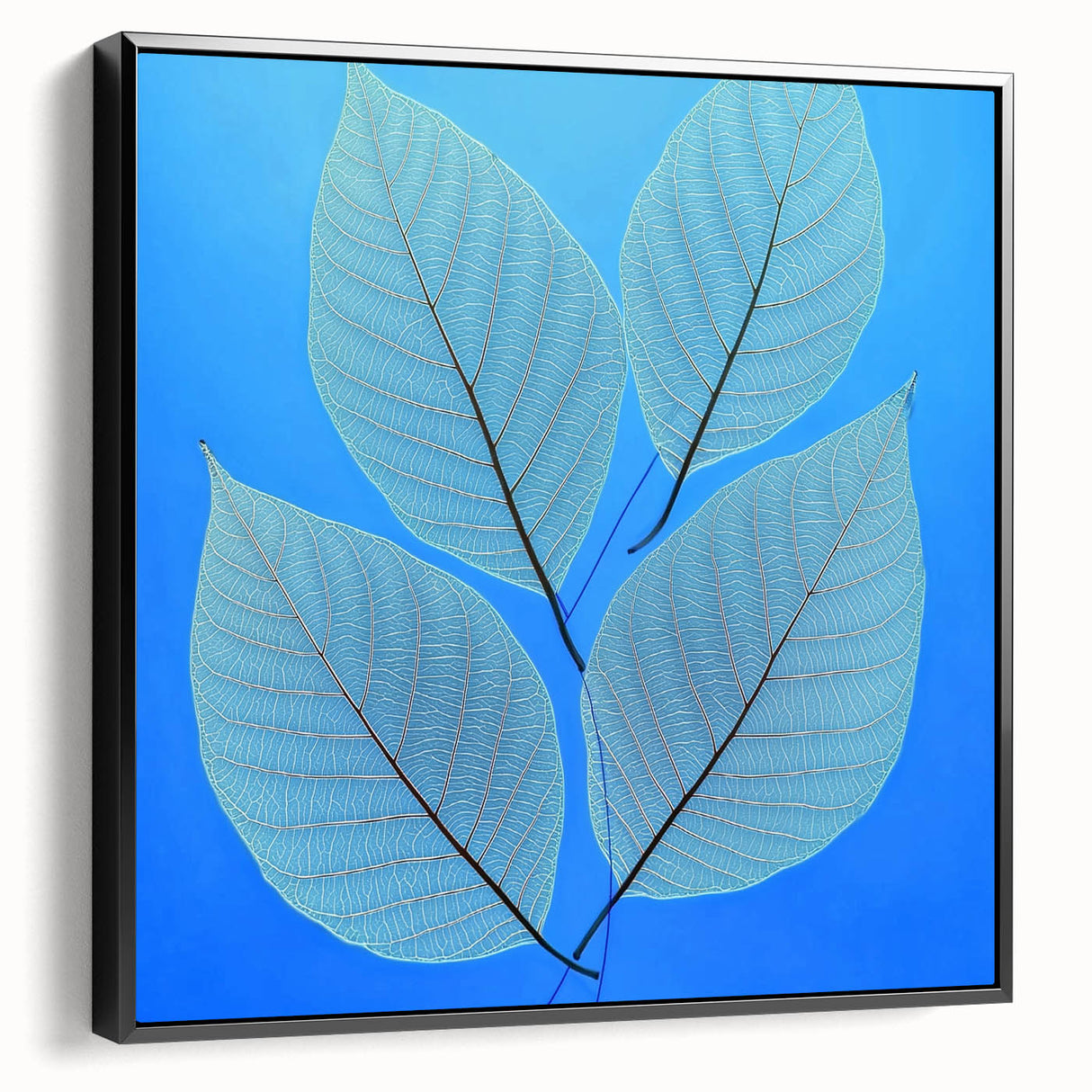 Black and white close-up photo of leaves on a framed canvas, ideal for bedroom wall art.