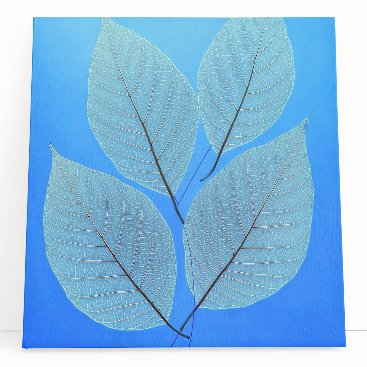 Black and white close-up photo of leaves on a stretched canvas, suitable as large kitchen wall art or for bedroom ambiance.