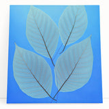 Black and white close-up photo of leaves on a stretched canvas, suitable as large kitchen wall art or for bedroom ambiance.