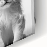 Bathroom Framed Art - Lion Cub with Toilet Roll Hat Minimalist Decor