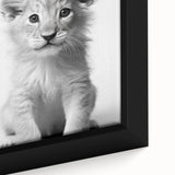 Bathroom Framed Art - Lion Cub with Toilet Roll Hat Minimalist Decor