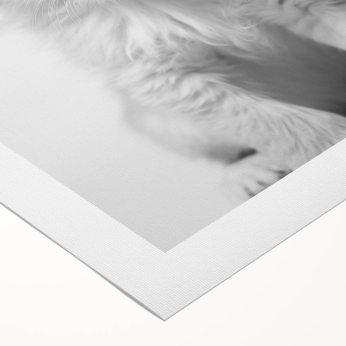 Bathroom Framed Art - Lion Cub with Toilet Roll Hat Minimalist Decor