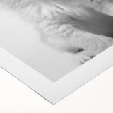 Bathroom Framed Art - Lion Cub with Toilet Roll Hat Minimalist Decor