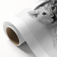 Bathroom Framed Art - Lion Cub with Toilet Roll Hat Minimalist Decor