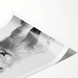 Bathroom Framed Art - Lion Cub with Toilet Roll Hat Minimalist Decor